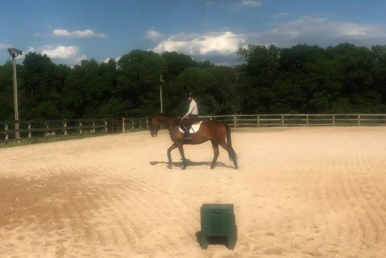 Dublin under saddle