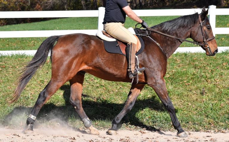 The Saint trot right